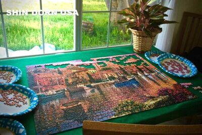 Magic of Puzzle Glue: Transforming Puzzles into Timeless Art